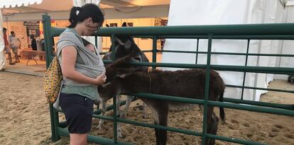 Una mujer acaricia un burro en el festival.