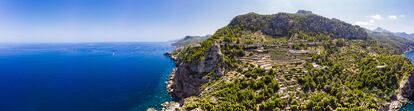 Las vides ocupan parte de la sierra de Tramontana, en Mallorca.