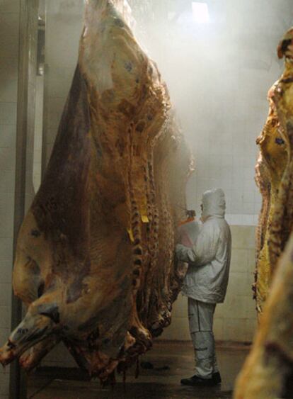 Un supervisor controla la calidad de la carne en un centro situado en La Matanza