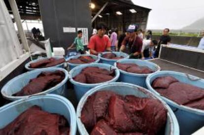 Trabajadores japoneses cargando un camión con carne de ballena en el puerto de Wada, en Chiba (Japón). EFE/Archivo