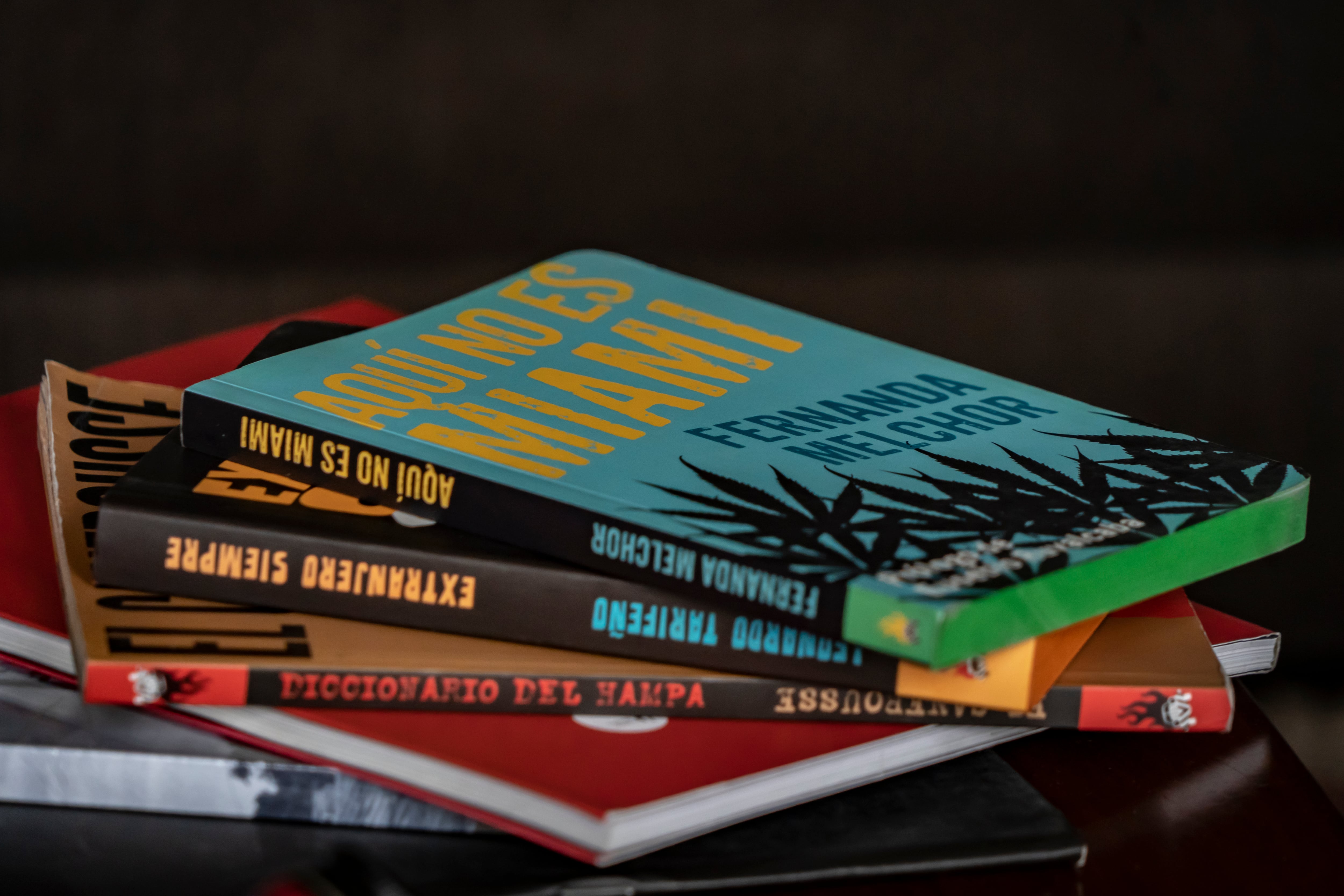 Libros de la editorial El Salario del Miedo, en la casa de Servín, en octubre de 2022.