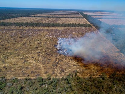 Tierras deforestadas y quemadas en El Chaco.