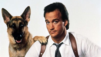  

	'Super agente K9' (Rob Daniel,1989)

	Esta vez le toco a James Belushi compartir protagonismo con un Pastor Alemán dispuesto a echarle una mano en sus tareas como detective de la policía de San Diego. Seguramente la historia con su difunto hermano, el recordado John Belushi, hubiera tenido mucho más miga y sin duda más sentido del humor. Incluido, el perruno.