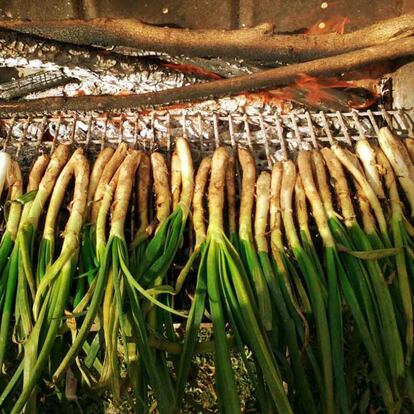 Calçots en la Masía del Marqués, en el Penedés. La calçotada es una fiesta gastronómica típica en toda Cataluña.