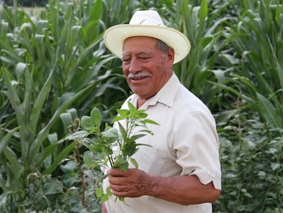  Agricultor en Oaxaca, M&eacute;xico.