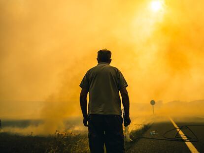 Un hombre mira las llamas del incendio forestal de Sierra de la Culebra, en Zamora, el pasado 19 de junio.