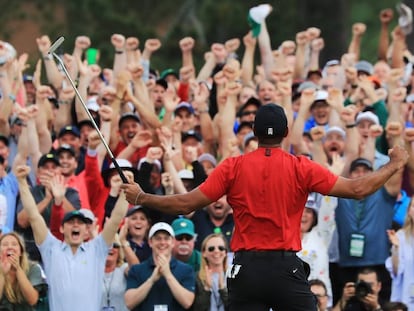 Tiger celebra la victoria.