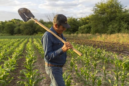 Osfelio Vásquez, en sus tierras de Bacanuchi.