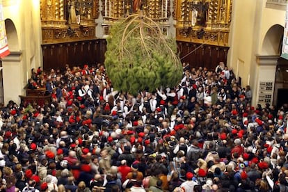 La 'Festa del Pi' de Centelles.