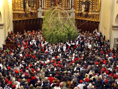 La 'Festa del Pi' de Centelles.