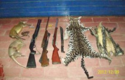 Restos de animales silvestres y armas decomisados, horas antes de que el Parlamento costarricense aprobara la ley que prohíbe la caza deportiva