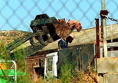 Una excavadora carga en un camión cerdos sacrificados en una granja de Soses (Lleida).