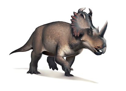 Recreación artística de un Centrosaurus apertus