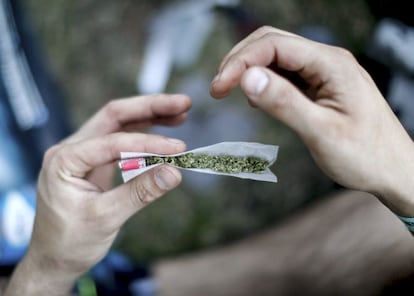 Porros para puristas: boquilla de cartón y hierba.