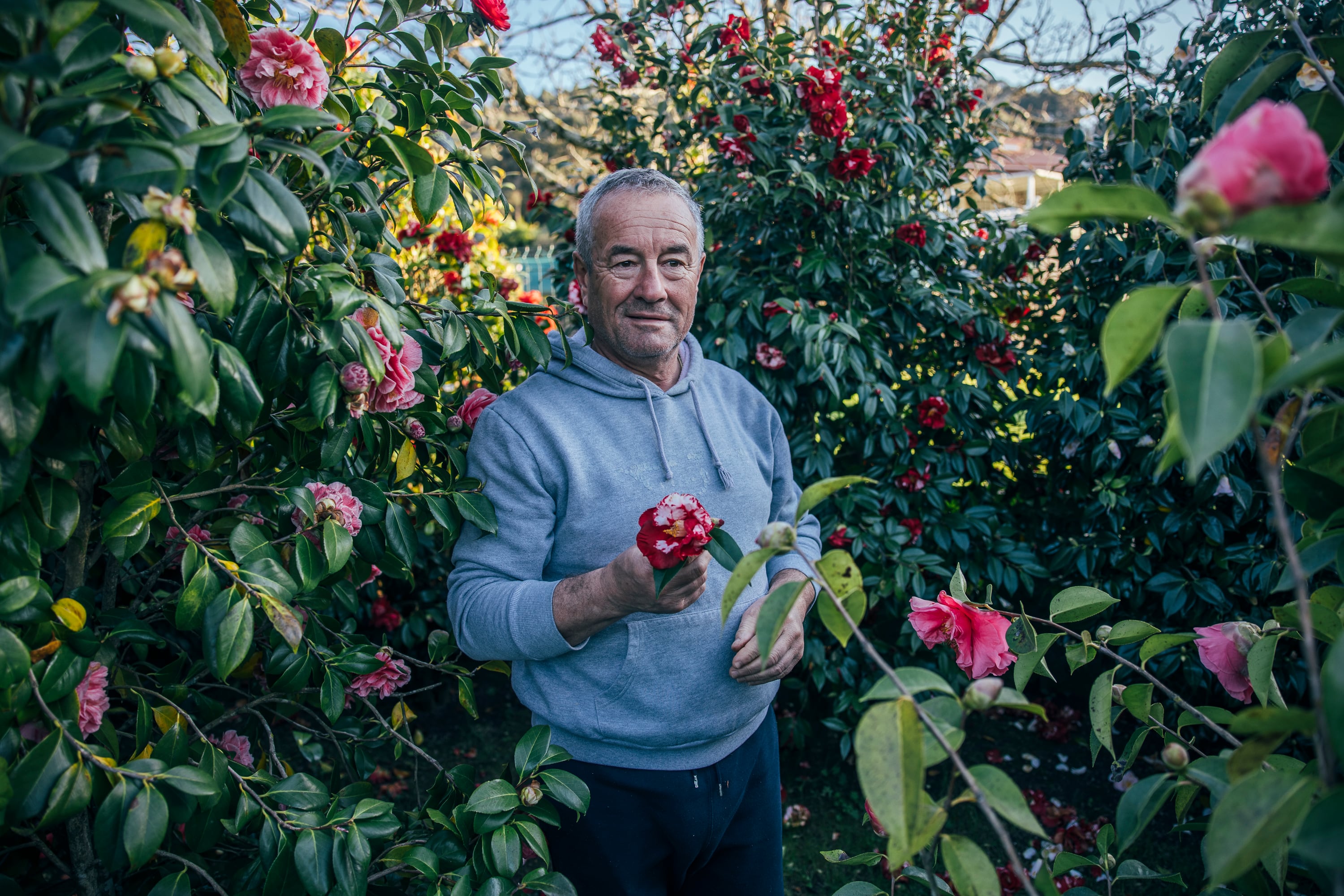 Abelardo Barcala padre muestra una variedad de las 2.000 que cultivan en su finca. Las primeras plantas con las que inauguró la afición familiar se las regaló la propietaria de un gran jardín que él cuidaba en la zona.