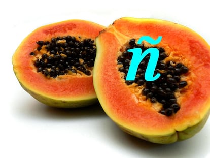 Cuando papaya se escribe con eñe: glosario de palabras malsonantes para viajeros
