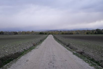 The stretch of land leading to the Inner Mastery International villa in Fuente el Saz del Jarama.