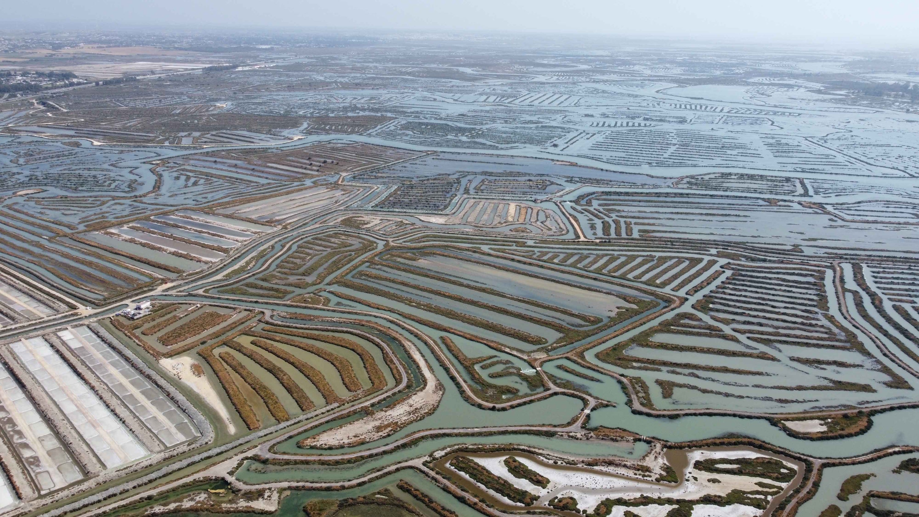 Salinas gaditanas, en una imagen aérea. / CEDIDA POR JUAN MARTÍN, de SALARTE.
