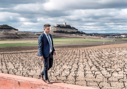 Pedro Luis Aragoneses en los viñedos de Pago de Carraovejas en Peñafiel.