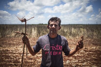 Teófilo Olmedo, 45 años, tiene nueve hijos y vive en Guahory (Paraguay). Le quemaron casi 10 hectáreas de cultivos y le robaron unas 150 gallinas. "Contaminaron nuestro pozo con veneno. Nos quieren borrar del mapa", dijo.