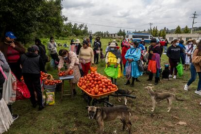 comunidad mazahua reparte alimentos básicos en la comunidad de El Quelite, Estado de México.