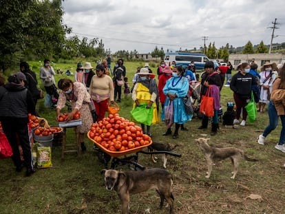 comunidad mazahua reparte alimentos básicos en la comunidad de El Quelite, Estado de México.