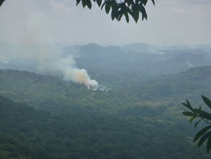 El humo de fuegos provocados al interior de la reserva.