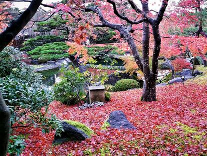 Manual de instrucciones para ver el otoño en Japón