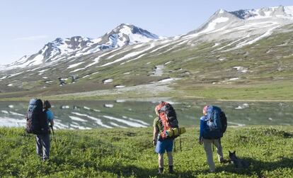 Excursión por The Chuck Creek Trail que lleva al Tatshenshini–Alsek Park.