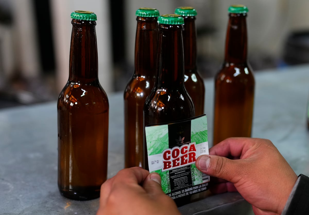 La hoja de coca conquista nuevos sectores – El reportero andino