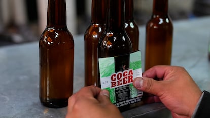 Botellas de cerveza con sabor a hoja de coca en un local en La Paz, Bolivia, en 2024.