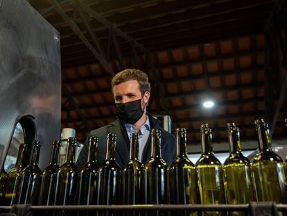 El presidente del PP, Pablo Casado, durante su visita a una bodega de cava este jueves en Pontons.