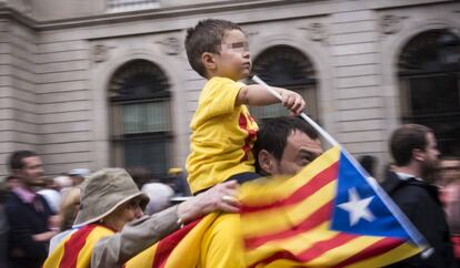 Un nen amb una estelada en la Diada del 2013.