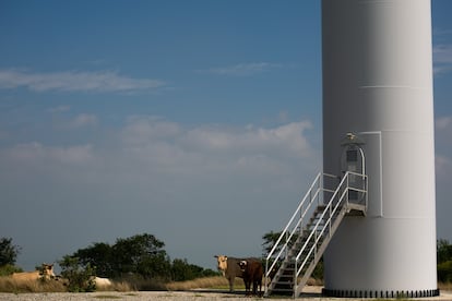 Parque eólico la mesa en Tamaulipas