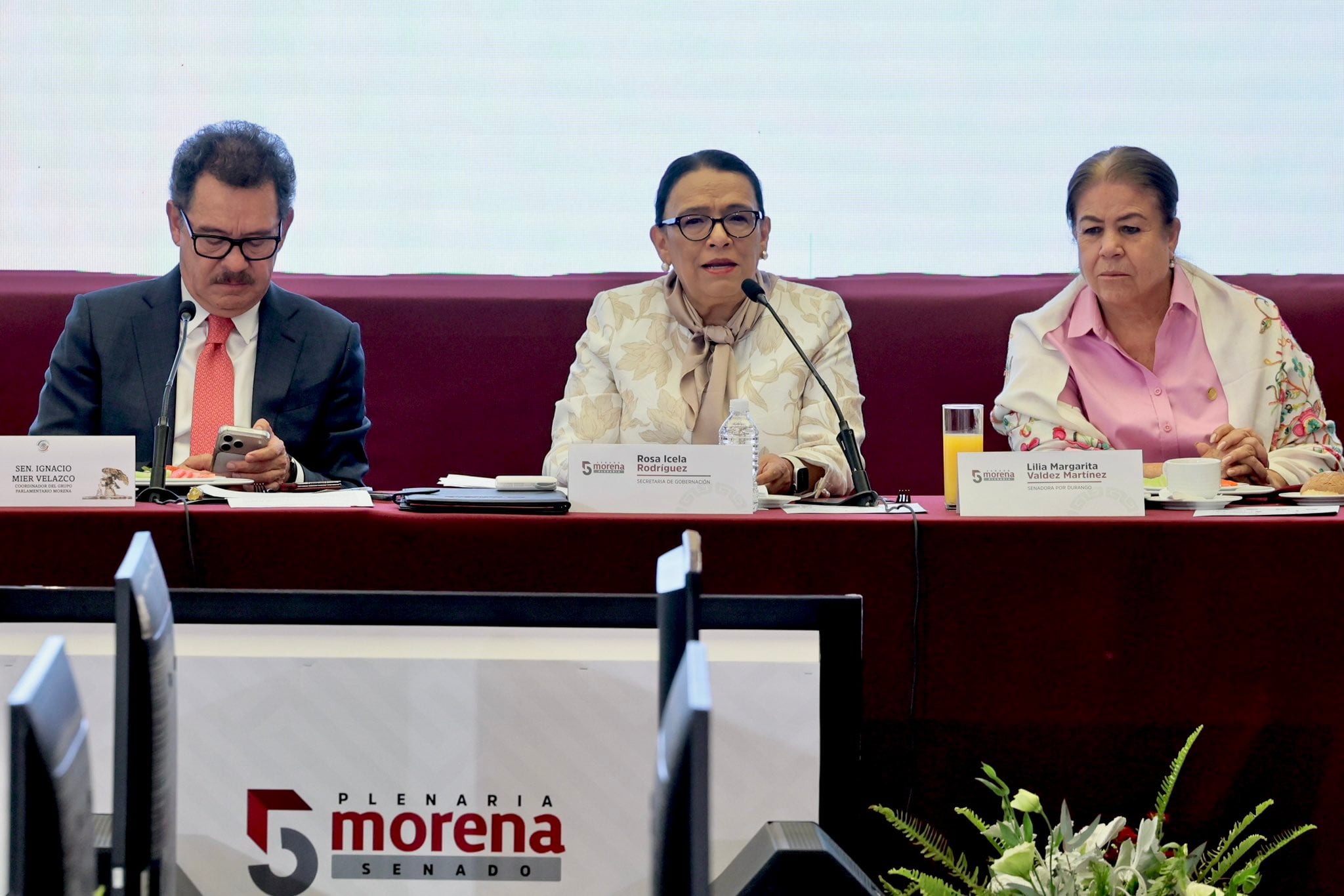 Rosa Icela Rodríguez aprieta las filas en la plenaria de Morena: “Ninguna candidatura está por encima de la estabilidad de México”