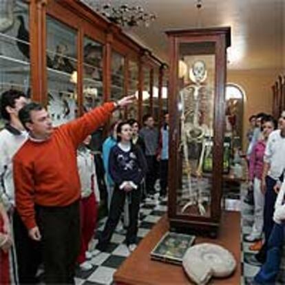 Los alumnos del instituto Aguilar y Eslava observan el esqueleto del conserje del siglo XIX.