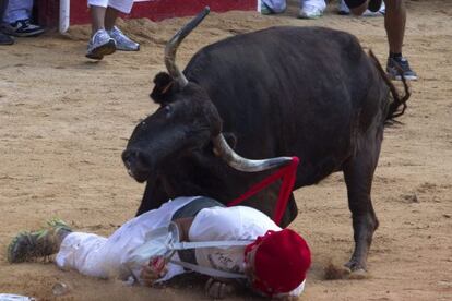 Una vaquilla intenta empitonar a un hombre en la plaza de toros de Pamplona después del encierro del viernes.