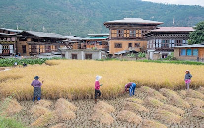 El pueblo de Lobesa, uno de los puntos por los que pasa la Ruta Transbutánica (Trans-Bhutan Trail).