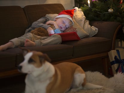 Hay que evitar a toda costa que antes de irse a dormir la noche de Reyes los niños estén demasiado excitados haciendo juegos que los despierten en demasía.