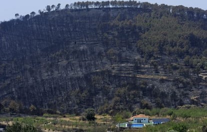 Una casa en el límite de la zona carbonizada por las llamas en el término municipal de Andilla.
