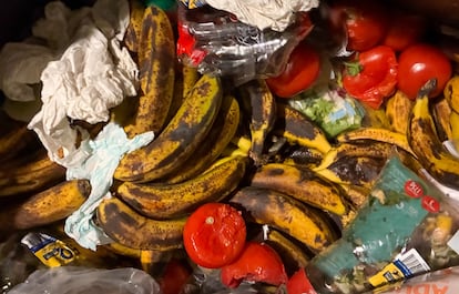 Frutas y verduras desechadas en julio por un supermercado de Madrid, mezcladas con papel y plásticos en un contenedor.