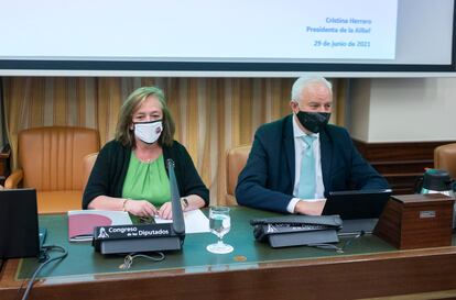 La presidenta de la Airef, Cristina Herrero, este martes en la Comisión de Hacienda del Congreso.