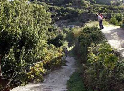 Vecinos de Istán (Málaga) miran la zona conocida como el Arroyo de la luz, donde falleció la menor.