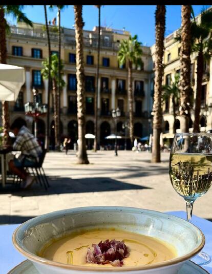 La terrassa de L'Ambos Mundos de la plaça Reial de Barcelona.