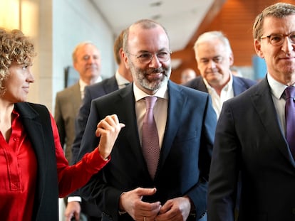 PP europeo y ultraderecha