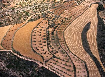 Bancales en el Maestrazgo de Teruel.