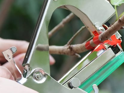 Artículo de EL PAÍS Escaparate que describe las ventajas de uso de una máquina para atar los tallos de las plantas.