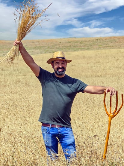 Samuel Moreno, chef del Molino de Alcuneza, en un campo de trigo antiguo de Palazuelos, cerca de Sigüenza.