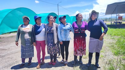 Mujeres de la étnia awajun participan en la producción de la plántulas en el vivero de Shampuyacu. 