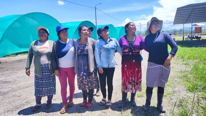 Mujeres de la étnia awajun participan en la producción de la plántulas en el vivero de Shampuyacu.